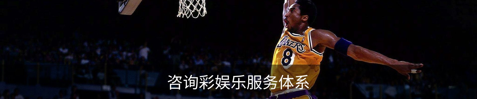 咨询彩娱乐服务体系